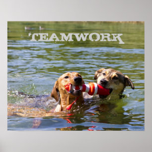 Customisable Dog Teamwork Poster