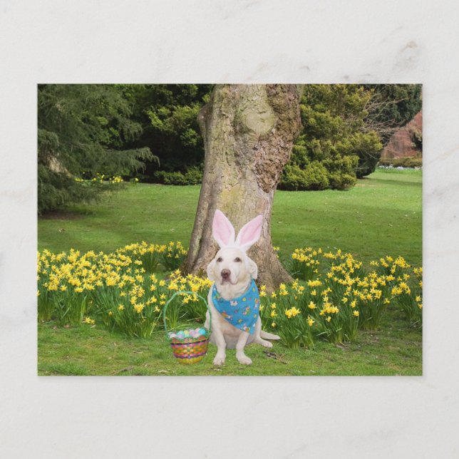Customisable Easter Egg Hunt Invitation Postcard (Front)