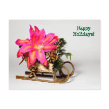 Customisable Epiphyllum Christmas Post Card