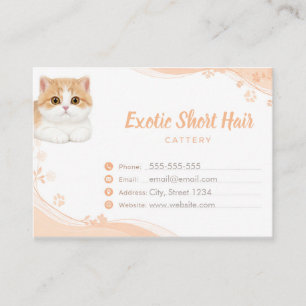 Customisable Exotic Shorthair Cattery Business Card