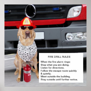 Customisable Fire Drill Poster