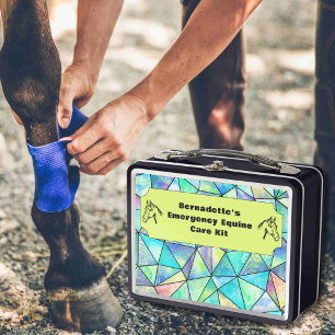 Customisable First Aid Equine Emergency Container Metal Lunch Box