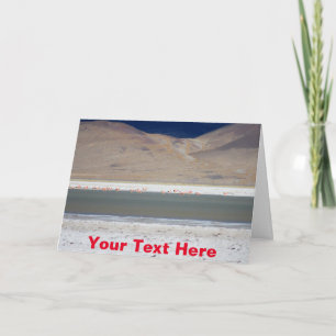Customisable flamingos at Salar del Huasco, Chile Card