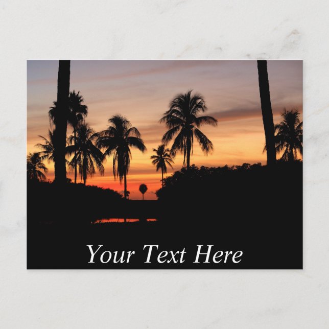Customisable Florida sunset Postcard (Front)
