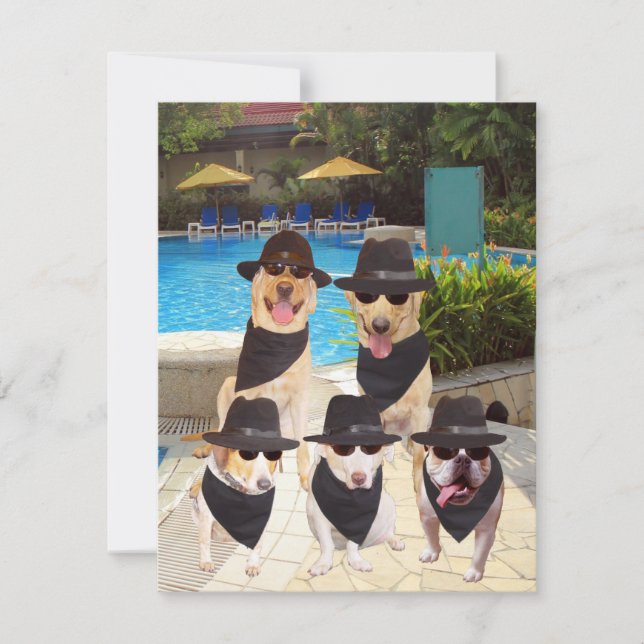 Customisable Funny Blues Dogs/Lab Invite (Front)