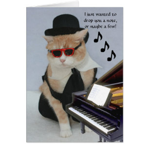 Customisable Funny Cat