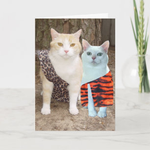 Customisable Funny Cat Birthday or Anniversary Card