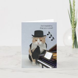 Customisable Funny Cat Card