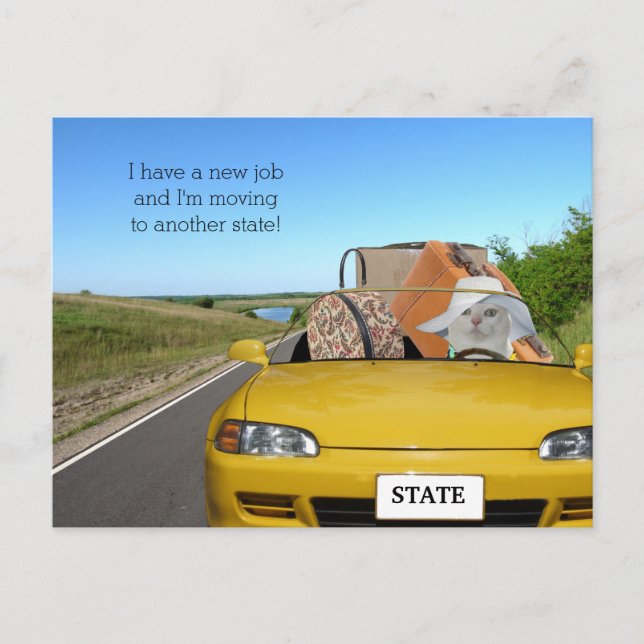 Customisable Funny Cat/Kitty Moving Announcement Postcard (Front)