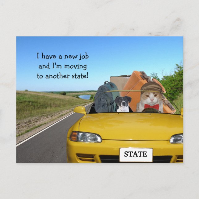 Customisable Funny Cat/Kitty Moving Out of Town Announcement Postcard (Front)