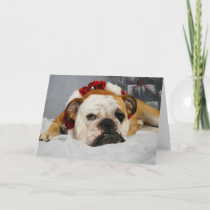 Customisable Funny Christmas Card