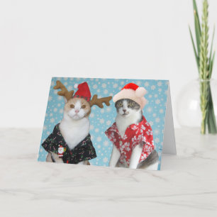 Customisable Funny Christmas Cats Holiday Card