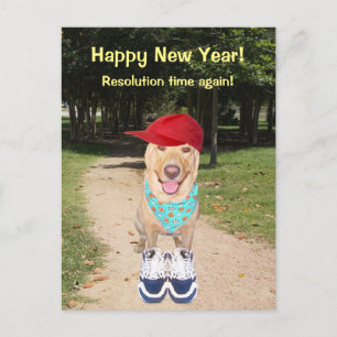 Customisable Funny Dog New Year Resolution Holiday Postcard