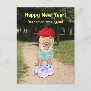 Customisable Funny Dog New Year Resolution Holiday Postcard