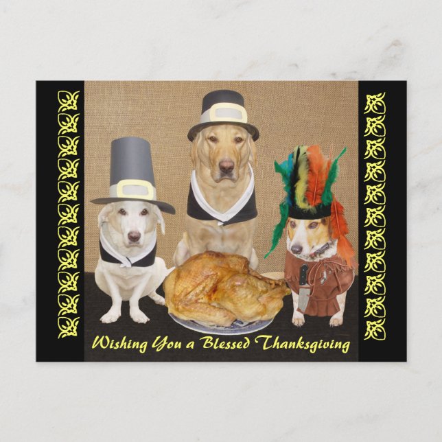Customisable Funny Dogs Happy Thanksgiving Holiday Postcard (Front)