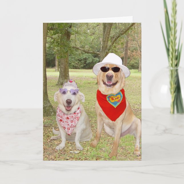 Customisable Funny Dogs Holiday Card (Front)