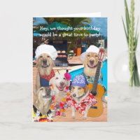 Customisable Funny Dogs/Labs by Pool Birthday
