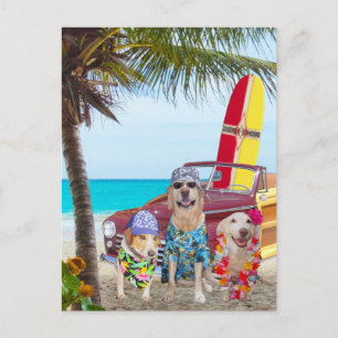 Customisable Funny Dogs/Labs on the Beach Postcard