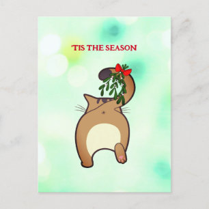 Customisable funny holiday cat tail mistletoe postcard