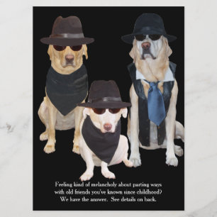 Customisable Funny Labs Graduation Party Invitation
