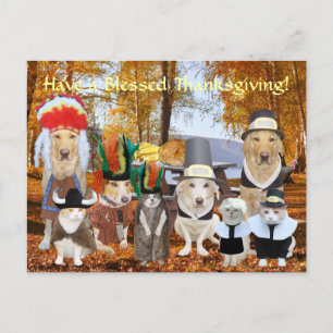 Customisable Funny Pets Pilgrims and Indians Holiday Postcard