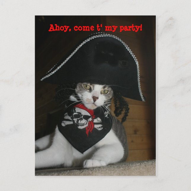 Customisable Funny Pirate Cat Postcard (Front)