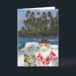 Customisable Funny Surfer Cats/Kitties Anniversary Card<br><div class="desc">A humourous card with a Hawaiian theme that could be customised for one spouse to give the other or for a friend to give a couple. You can customise the text, change the fonts, font size and colour. You could delete the background picture on the front (which is thanks to...</div>