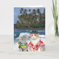 Customisable Funny Surfer Cats/Kitties Anniversary
