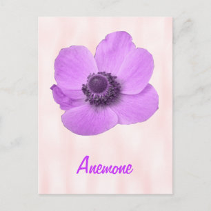 Customisable Girly Pink Anemone Postcard