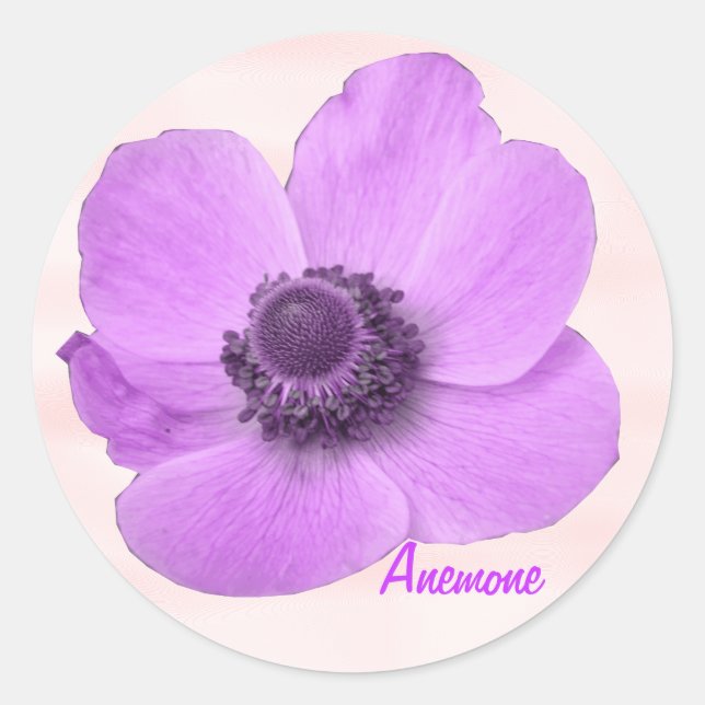 Customisable Girly Pink Anemone Sticker (Front)