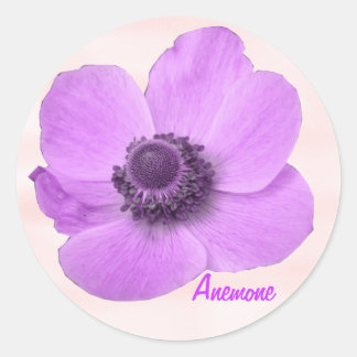Customisable Girly Pink Anemone Sticker