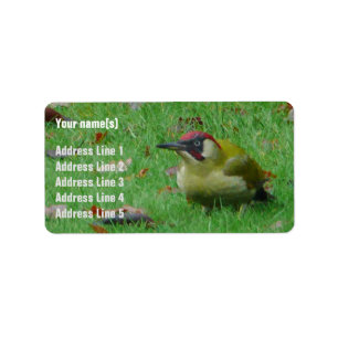Customisable Green Woodpecker Address Labels