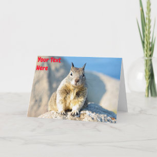 Customisable grey squirrel card