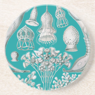 Customisable Haeckel Coaster