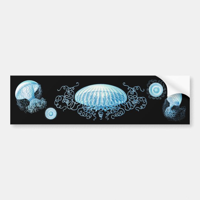 Customisable Haeckel Jellyfish Bumper Sticker (Front)