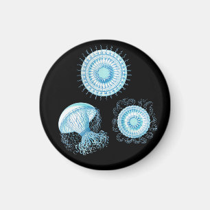 Customisable Haeckel Jellyfish Magnet