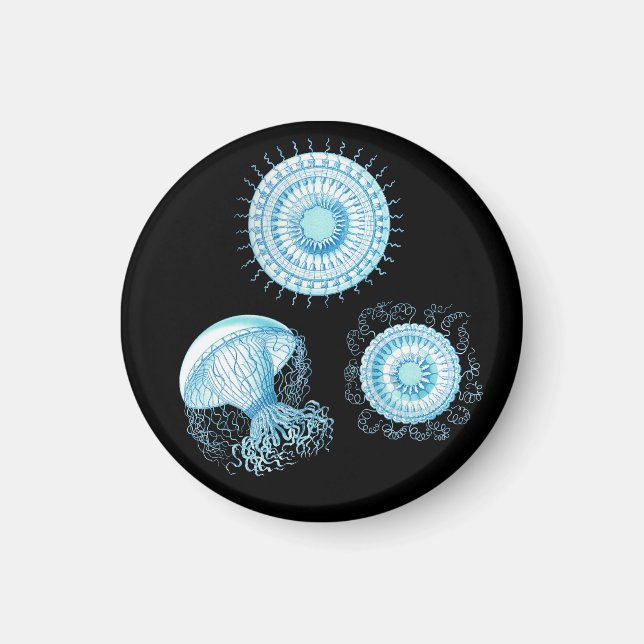 Customisable Haeckel Jellyfish Magnet (Front)