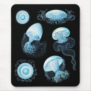 Customisable Haeckel Jellyfish Mouse Pad
