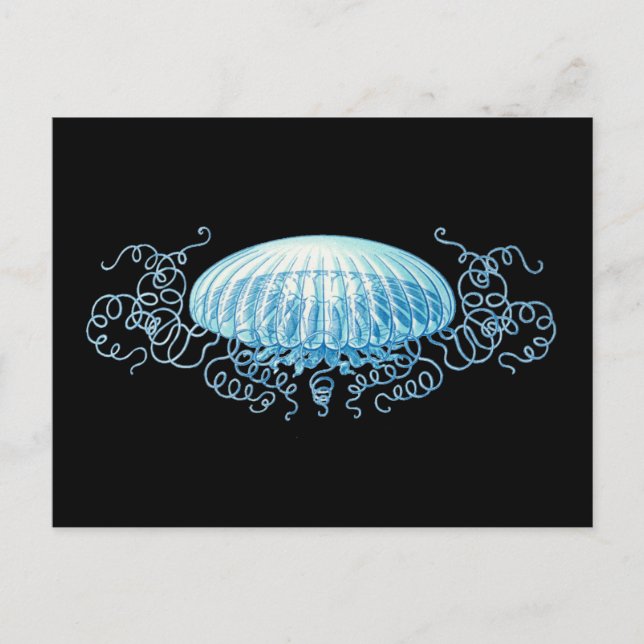 Customisable Haeckel Jellyfish Postcard (Front)