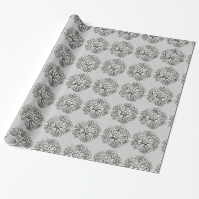 Customisable Haeckel Wrapping Paper (Unrolled)