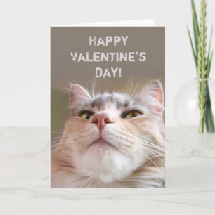 Customisable Happy Valentine's Day Holiday Card