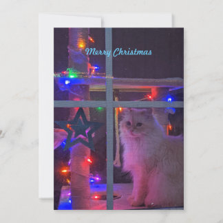 Customisable holiday card.