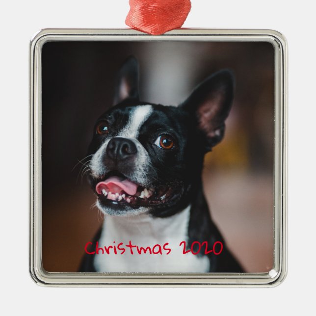 Customisable Holiday Family Pet Dog Metal Ornament (Front)