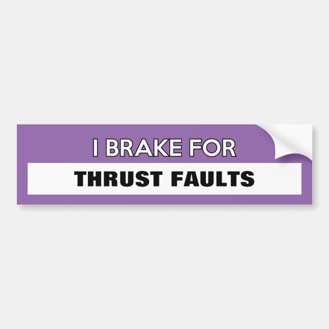 Customisable "I Brake For..." Bumper Sticker (Front)
