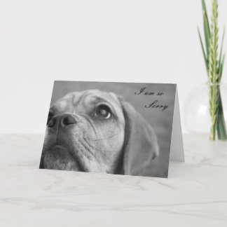 Customisable Im Sorry Cute Puppy Greeting card