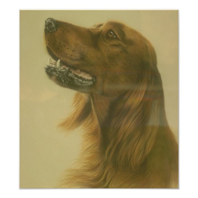 Customisable Irish Setter Art Poster (Front)