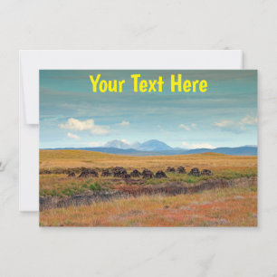 Customisable isle of Islay, Scotland card