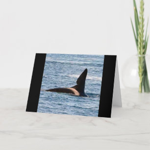 Customisable John Coe Killer Whale West Coast Orca Card