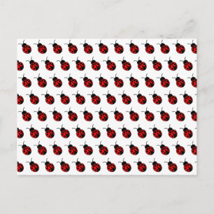 Customisable Ladybugs Postcard