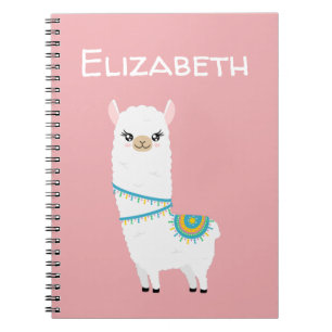 Customisable Llama Notebook